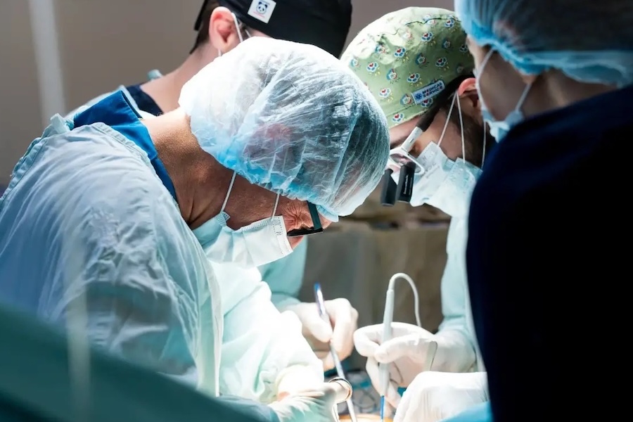 How Student Life Changes Over the Years of Study: From First Year to Graduation